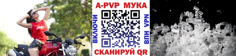 Alpha PVP СК  МЕГА маркетплейс  Теберда 