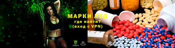 шишки Баксан