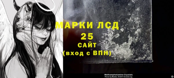 шишки Баксан