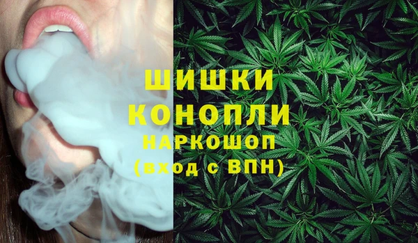 spice Балахна