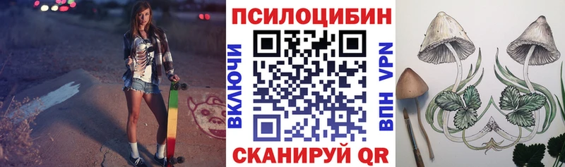 Псилоцибиновые грибы прущие грибы  где купить   Теберда 